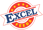 Excel Feeds